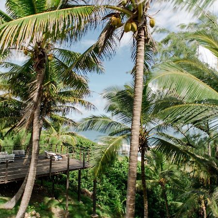 Eco Lifestyle And Lodge Bathsheba Kültér fotó