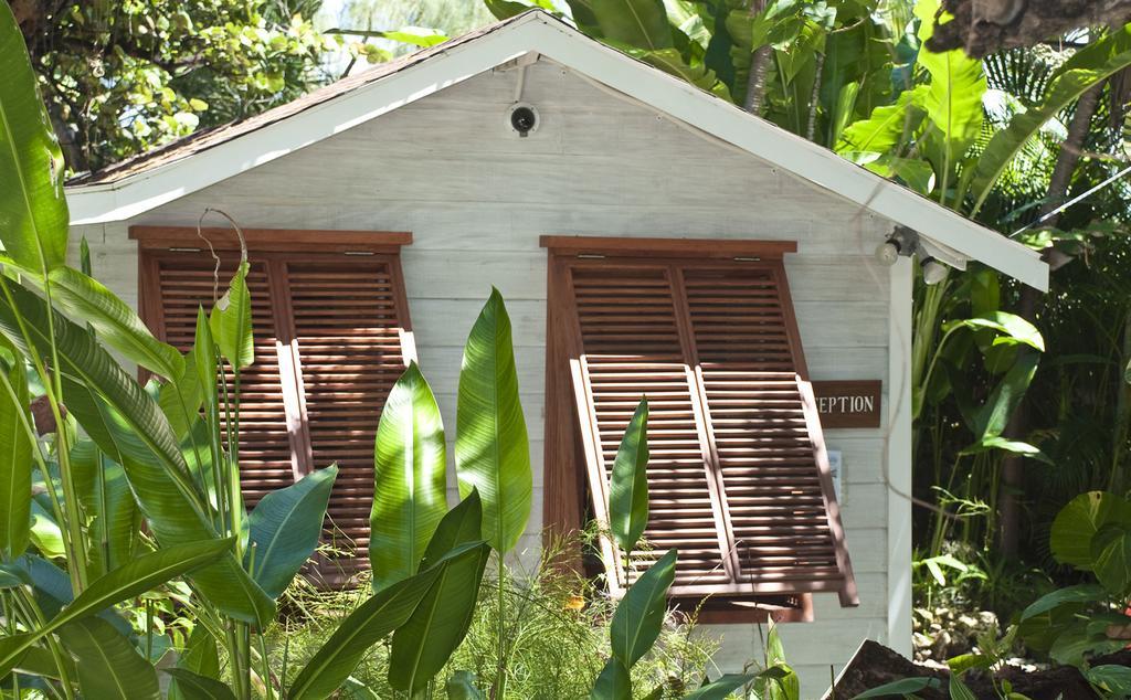 Eco Lifestyle And Lodge Bathsheba Kültér fotó