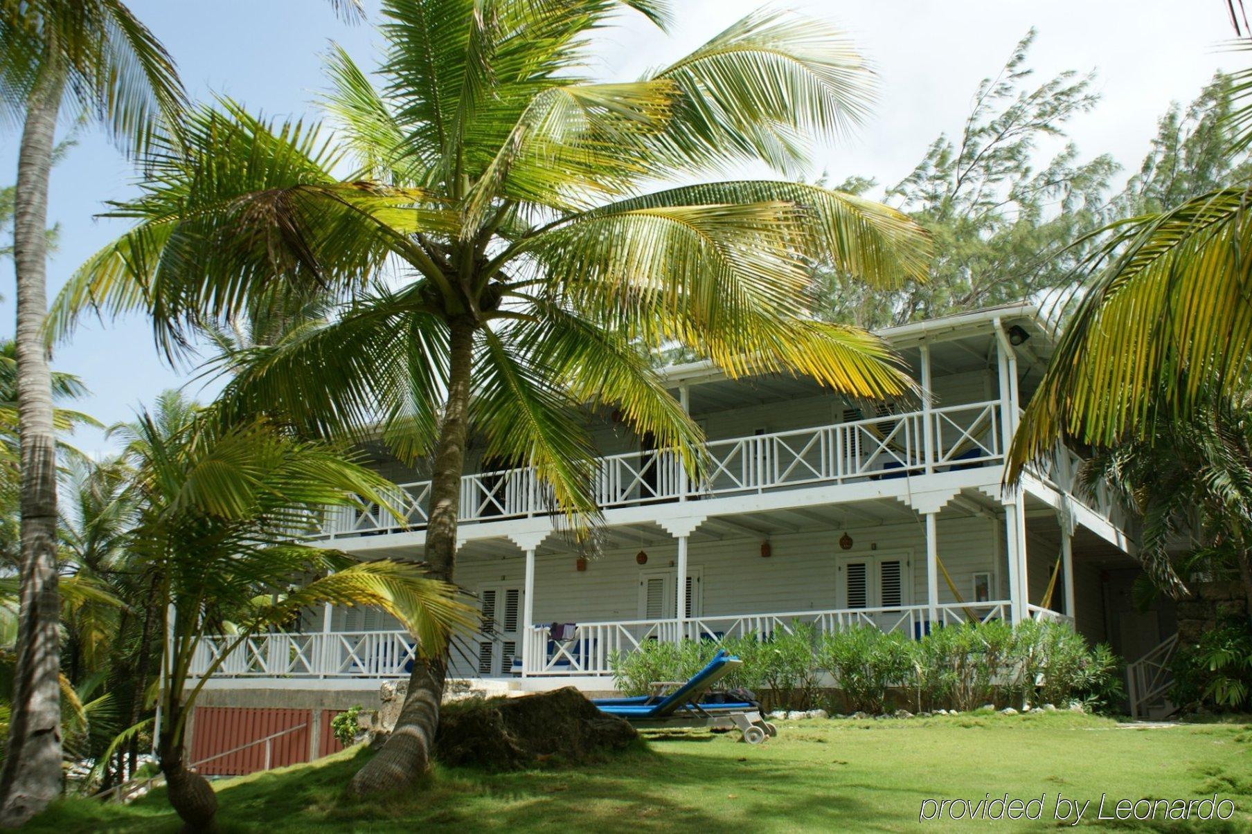 Eco Lifestyle And Lodge Bathsheba Kültér fotó