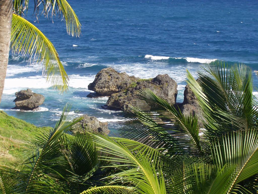 Eco Lifestyle And Lodge Bathsheba Kültér fotó
