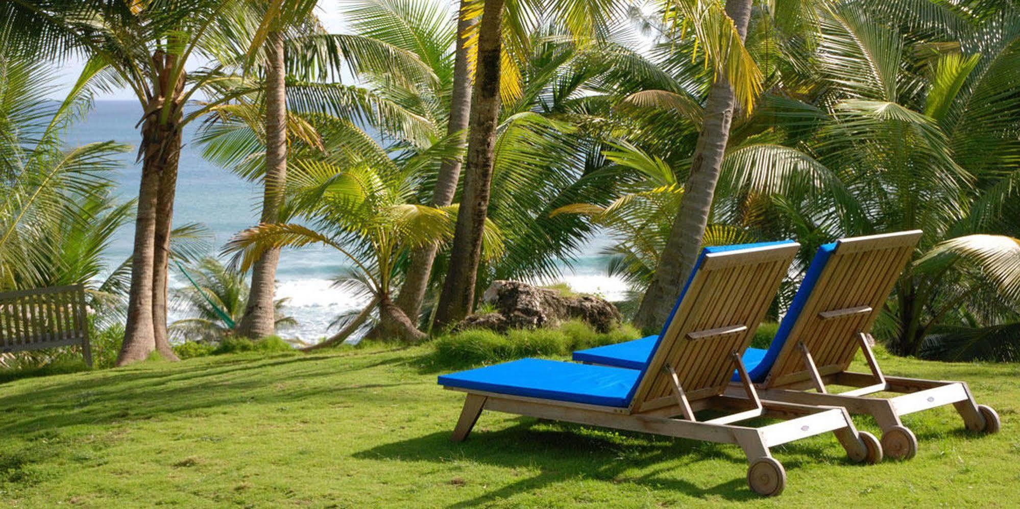 Eco Lifestyle And Lodge Bathsheba Kültér fotó