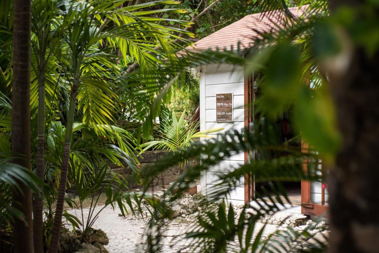 Eco Lifestyle And Lodge Bathsheba Kültér fotó