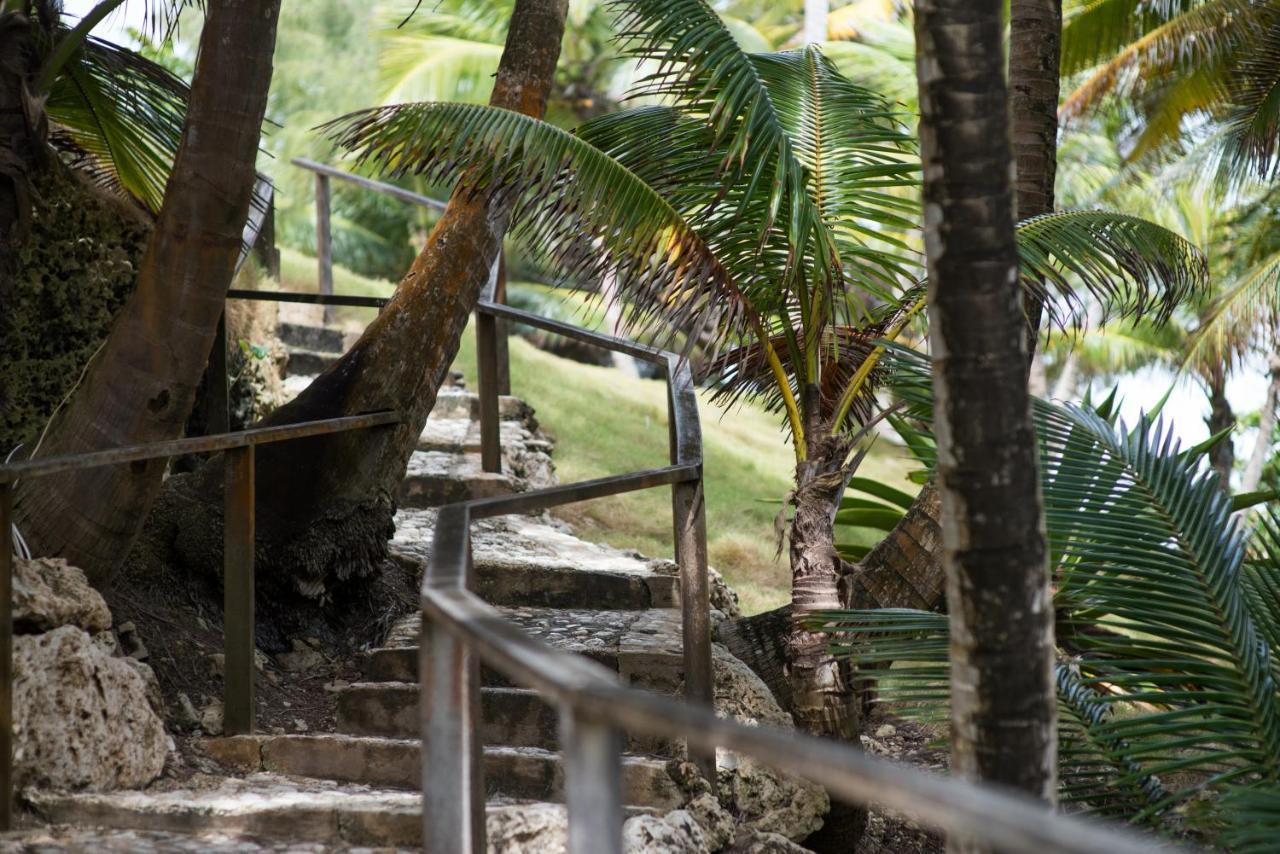 Eco Lifestyle And Lodge Bathsheba Kültér fotó
