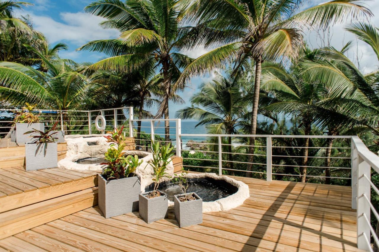 Eco Lifestyle And Lodge Bathsheba Kültér fotó