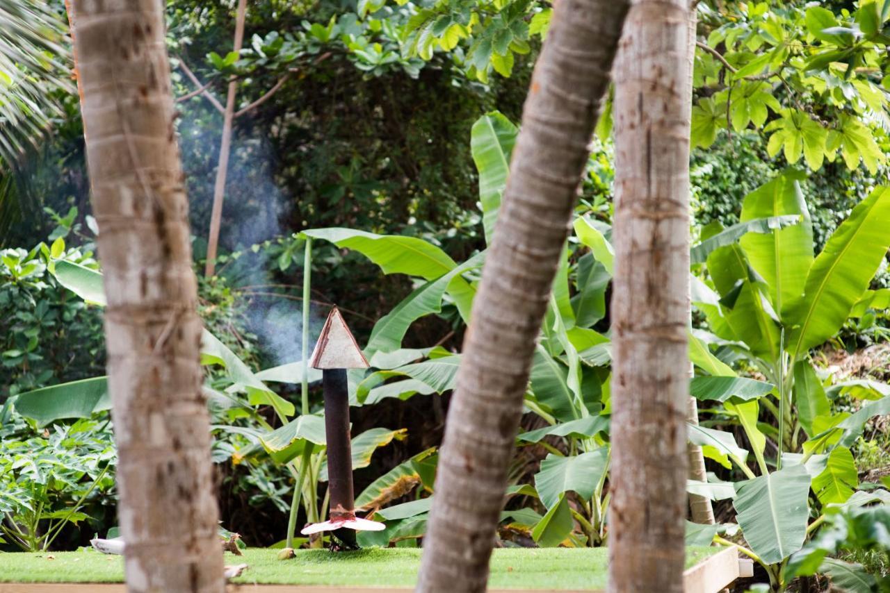 Eco Lifestyle And Lodge Bathsheba Kültér fotó