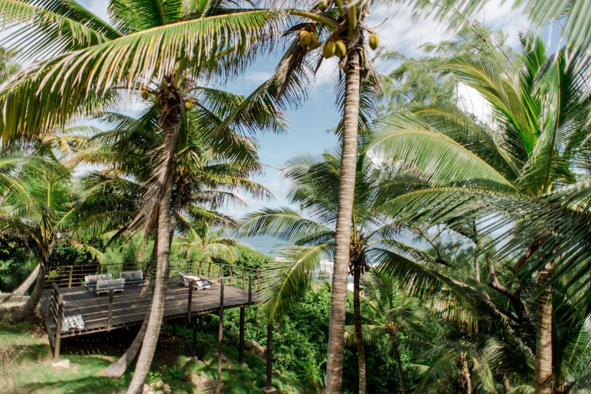 Eco Lifestyle And Lodge Bathsheba Kültér fotó